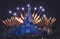 Holiday Magic at the Disney Parks (Celebrations Around the World from Fall to Winter) by Graham Allan, Rebecca Cline, Charlie Price, 9781484747018