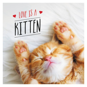 Love is a Kitten (A Cat-Tastic Celebration of the World's Cutest Kittens) by Charlie Ellis, 9781787832626