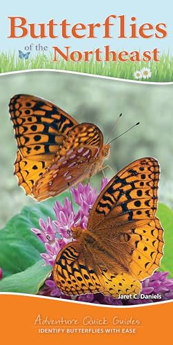 Butterflies of the Northeast (Identify Butterflies with Ease) by Jaret C. Daniels, 9781591938262