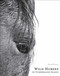 Wild Horses of Cumberland Island - 9781864708851 by Anouk Masson Krantz, Oliver Ferguson, 9781864708851