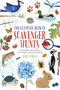 The Ultimate Book of Scavenger Hunts (42 Outdoor Adventures to Conquer with Your Family) by Stacy Tornio, 9781493051533