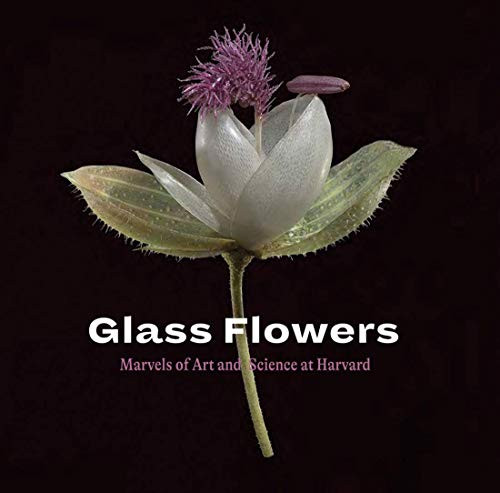Glass Flowers (Marvels of Art and Science at Harvard) - 9781785512247 by Jennifer Brown, Natalja Kent, Scott  Fulton, Donald  Pfister, 9781785512247