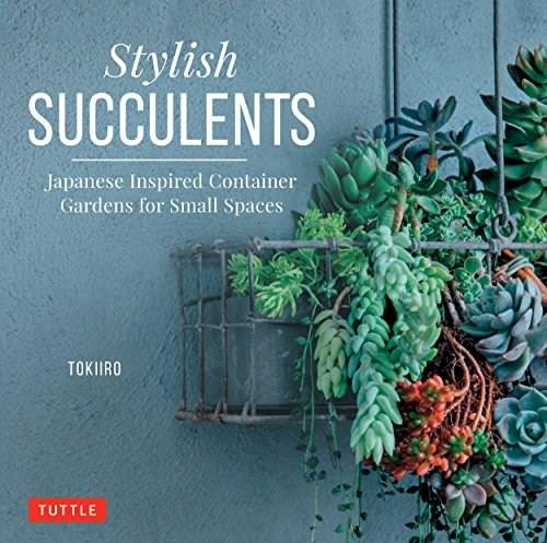 Stylish Succulents (Japanese Inspired Container Gardens for Small Spaces) by Yoshinobu Kondo, Tomomi Kondo, 9780804850957