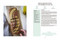 La Gloria vegana. Cocina saludable en familia / Healthy Cooking with Your Family @lagloriavegana (Spanish Edition) by Gloria Carrion, 9788417736651