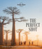 Lonely Planet The Perfect Shot - 9781838690434 by Lonely Planet, 9781838690434