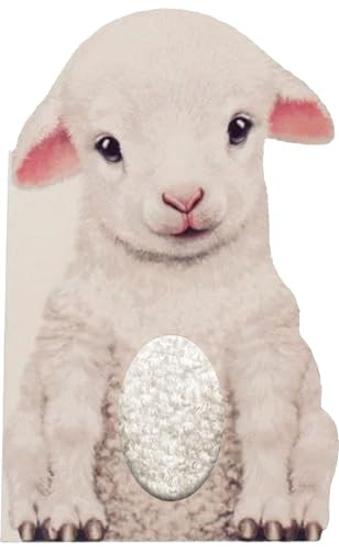 Furry Lamb by Annie Auerbach, Laura Rigo, 9781438050133