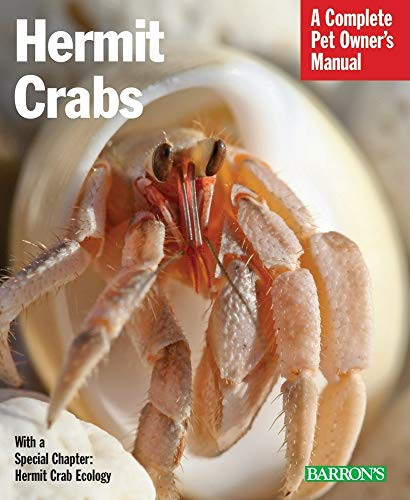 Hermit Crabs by Sue Fox, 9780764143441