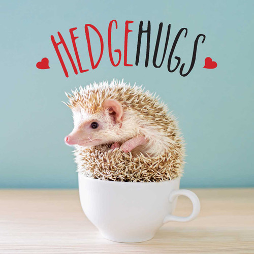 Hedgehugs - 9781524860219 by Andrews McMeel Publishing, 9781524860219