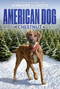 Chestnut - 9780358108740 by Jennifer Li Shotz, 9780358108740