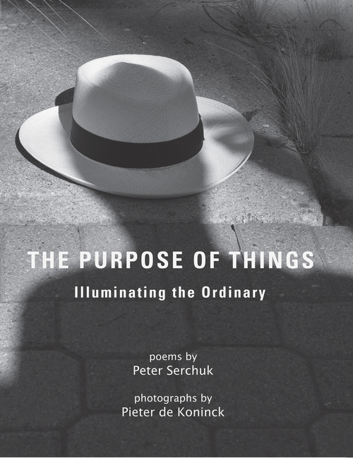 The Purpose of Things by Pieter de Koninck, Peter Serchuk, 9781646030194