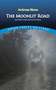 The Moonlit Road and Other Ghost and Horror Stories by Ambrose Bierce, John Grafton, 9780486400563