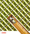 Sowing ideas. Harvesting the future. by Delius Klasing, 9783667114648