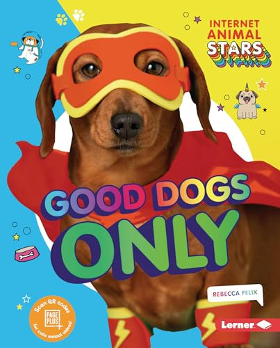 Good Dogs Only by Rebecca Felix, 9781541597167