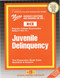 Juvenile Delinquency - 9780837359274 by National Learning Corporation, 9780837359274