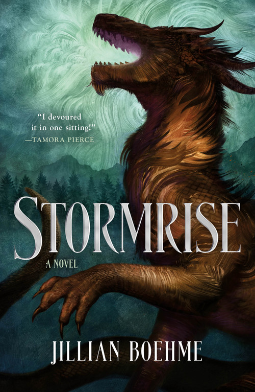 Stormrise - 9781250298904 by Jillian Boehme, 9781250298904
