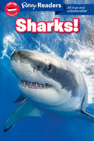 Ripley Readers LEVEL1 LIB EDN Sharks! by Ripley's Believe It Or Not!, 9781609914356
