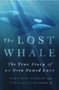 The Lost Whale (The True Story of an Orca Named Luna) by Michael Parfit, Suzanne Chisholm, 9780312353643