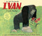 Ivan: A Gorilla's True Story by Katherine Applegate, G. Brian Karas, 9780358417460