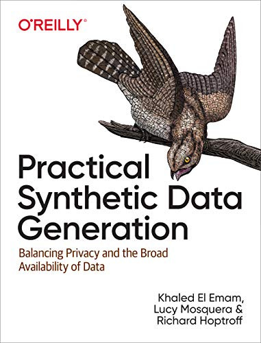 Practical Synthetic Data Generation (Balancing Privacy and the Broad Availability of Data) by Khaled El Emam, Lucy Mosquera, Richard Hoptroff, 9781492072744