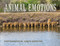 Animal Emotions by Judith Hamilton, 9781734226003