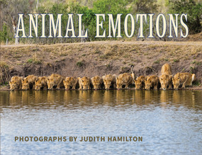 Animal Emotions by Judith Hamilton, 9781734226003