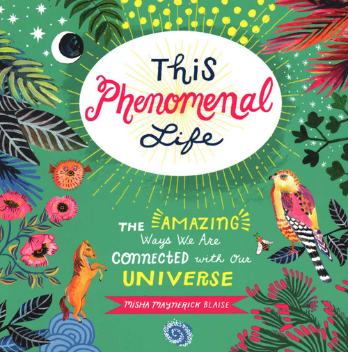 This Phenomenal Life (The Amazing Ways We Are Connected with Our Universe) by Misha Blaise, 9781493050437