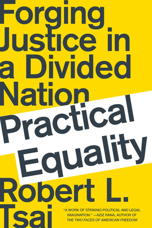 Practical Equality (Forging Justice in a Divided Nation) - 9780393358551 by Robert L. Tsai, 9780393358551