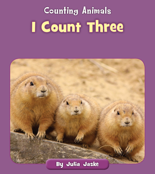 I Count Three by Julia Jaske, 9781534168367