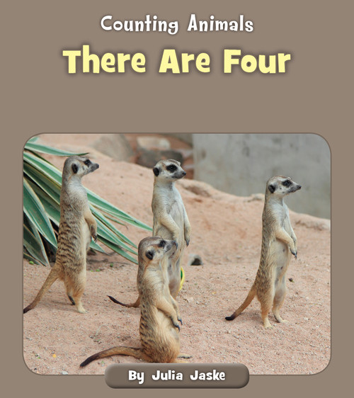 There Are Four by Julia Jaske, 9781534168374