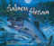 Salmon Stream by Carol Reed-Jones, Michael S. Maydak, 9781584690139