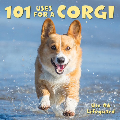 101 Uses For a Corgi by Willow Creek Press, 9781682348574
