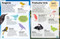 Sticker Encyclopedia Animals by DK, 9781465490865