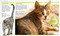 Pocket Genius Cats by DK, 9781465490988