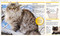 Pocket Genius Cats by DK, 9781465490988