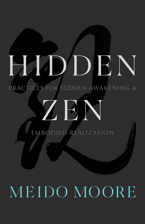 Hidden Zen (Practices for Sudden Awakening and Embodied Realization) by Meido Moore, 9781611808469