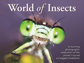 World of Insects by New Holland Publishers, 9781925546514