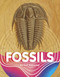 Fossils - 9781977126795 by Keli Sipperley, 9781977126795