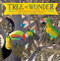 Tree of Wonder (The Many Marvelous Lives of a Rainforest Tree) - 9781797206837 by Kate Messner, 9781797206837