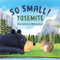So Small! Yosemite by Melissa Iwai, 9781930238862