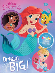 Disney Princess: Dream Big! by Maggie Fischer, Fernando Guell, 9780794445966