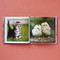 Cute Animals for Hard Times by Chronicle Books, 9781797203317