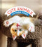 Cute Animals for Hard Times by Chronicle Books, 9781797203317