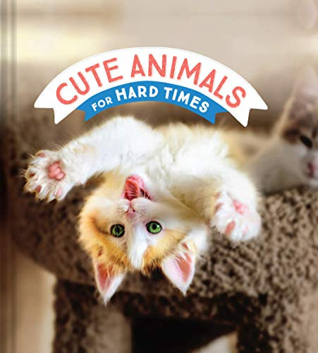 Cute Animals for Hard Times by Chronicle Books, 9781797203317