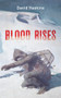 Blood Rises by David Haskins, 9781771835381