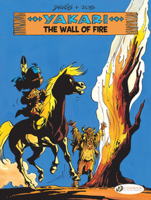 The Wall of Fire by Job, Derib, 9781849185912