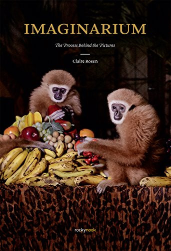 Imaginarium (The Process Behind the Pictures) by Claire Rosen, 9781681981987