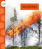 Wildfires - 9781681525938 by Anastasia Suen, 9781681525938