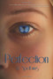 Perfection by JL Spelbring, 9781937053345