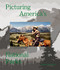 Picturing America's National Parks by Jamie M. Allen, 9781597113564