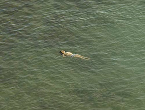 Richard Misrach: The Mysterious Opacity of Other Beings by Richard Misrach, Richard Misrach, Richard Misrach, 9781597113274
